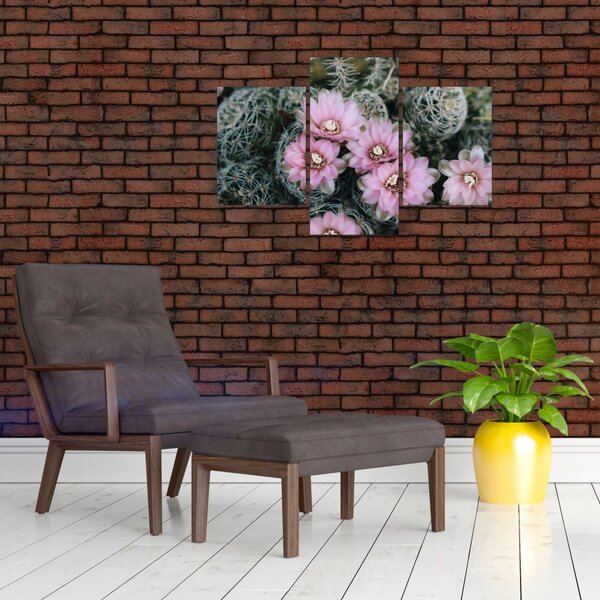 Slika cvijeta kaktusa (90x60 cm)