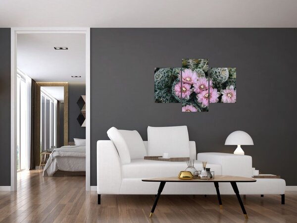 Slika cvijeta kaktusa (90x60 cm)