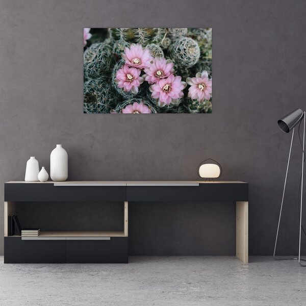 Slika cvijeta kaktusa (90x60 cm)