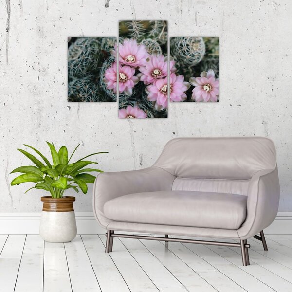Slika cvijeta kaktusa (90x60 cm)