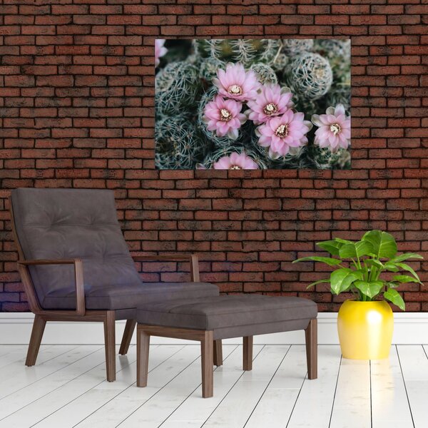 Slika cvijeta kaktusa (90x60 cm)