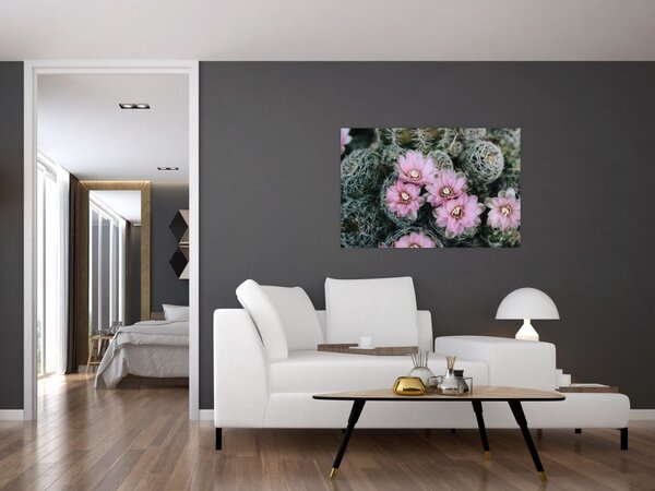 Slika cvijeta kaktusa (90x60 cm)