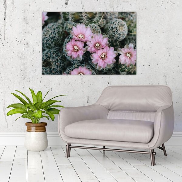 Slika cvijeta kaktusa (90x60 cm)