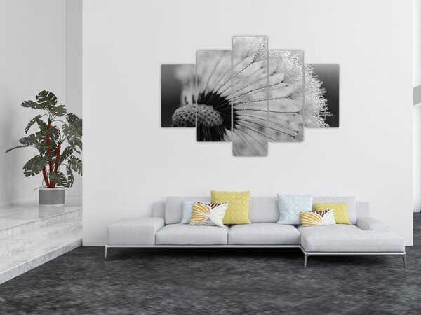 Slika maslačka - crno-bijela (150x105 cm)