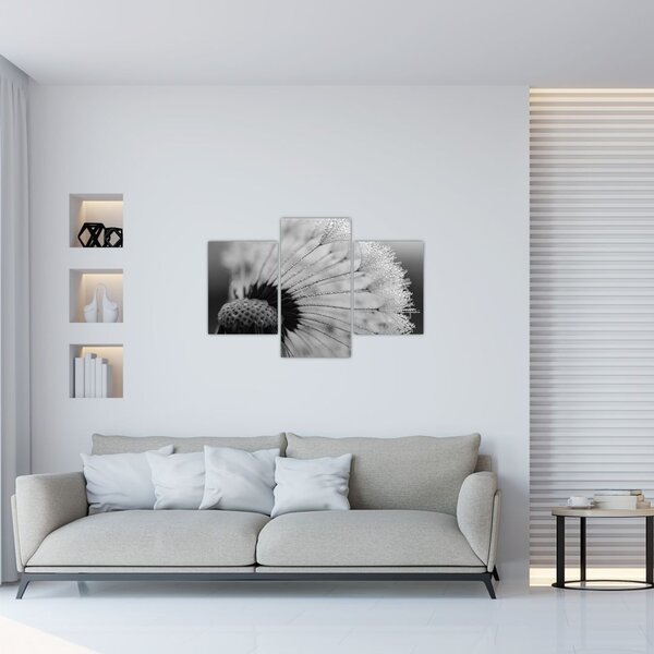 Slika maslačka - crno-bijela (90x60 cm)