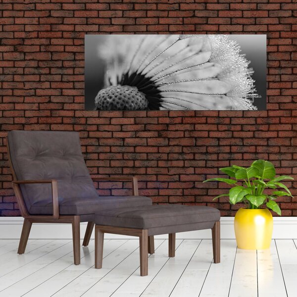 Slika maslačka - crno-bijela (120x50 cm)