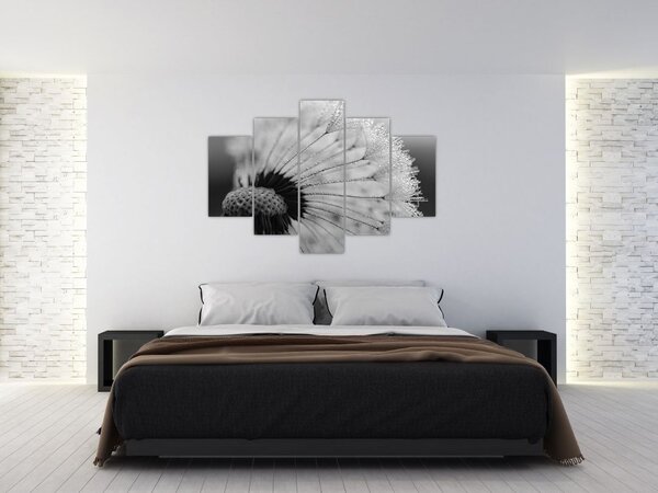 Slika maslačka - crno-bijela (150x105 cm)