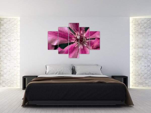 Slika ružičastog cvijeta klematisa (150x105 cm)