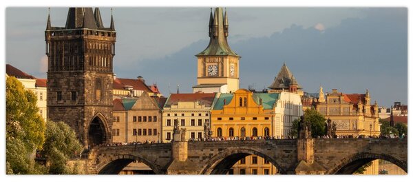 Slika - Karlov most (120x50 cm)