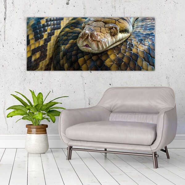 Slika - Piton (120x50 cm)