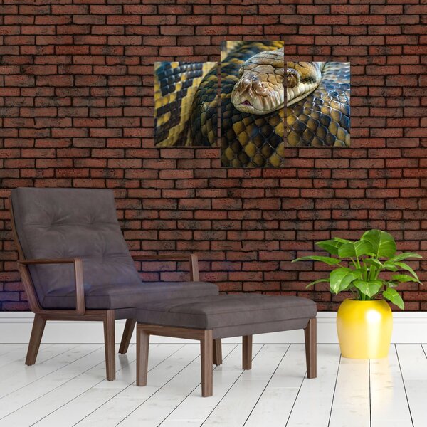 Slika - Piton (90x60 cm)