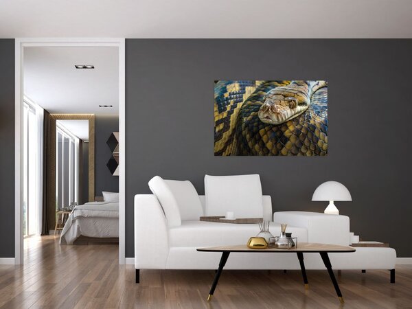 Slika - Piton (90x60 cm)