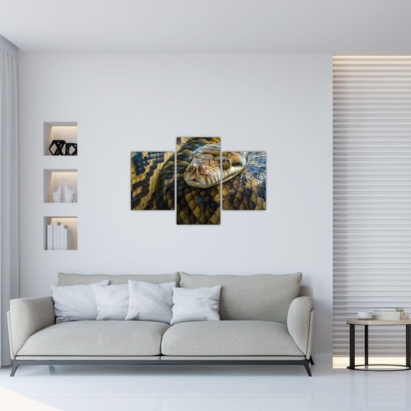 Slika - Piton (90x60 cm)