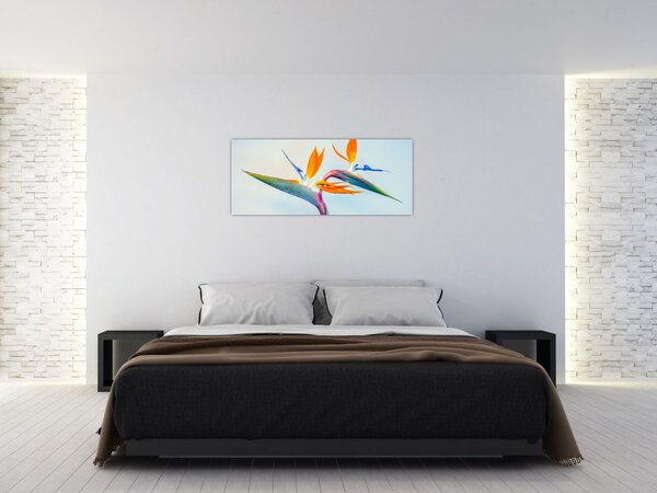 Slika cvijeta Strelicije (120x50 cm)