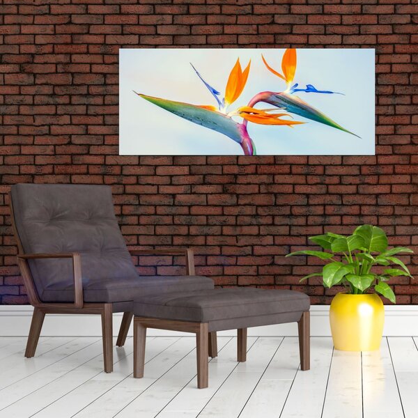 Slika cvijeta Strelicije (120x50 cm)