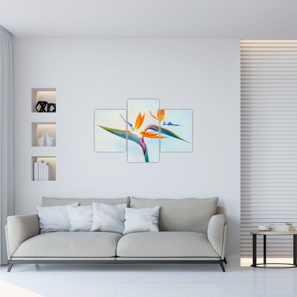 Slika cvijeta Strelicije (90x60 cm)