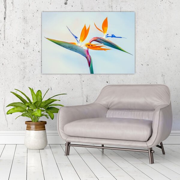 Slika cvijeta Strelicije (90x60 cm)