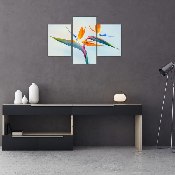 Slika cvijeta Strelicije (90x60 cm)