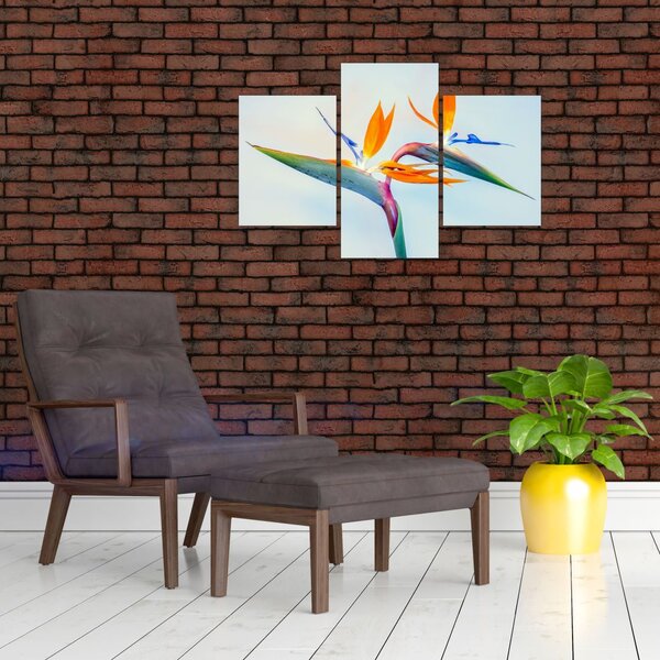 Slika cvijeta Strelicije (90x60 cm)