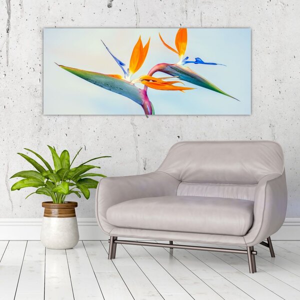 Slika cvijeta Strelicije (120x50 cm)