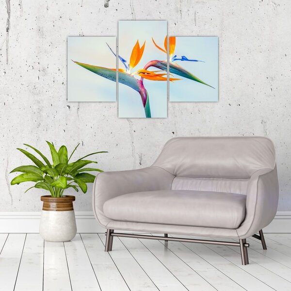 Slika cvijeta Strelicije (90x60 cm)