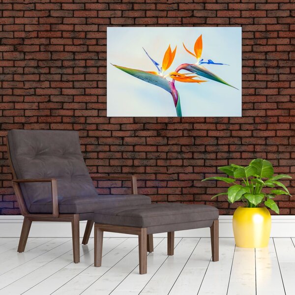 Slika cvijeta Strelicije (90x60 cm)