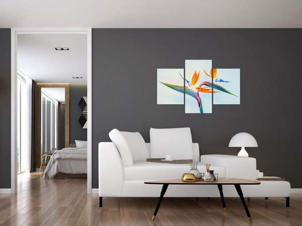 Slika cvijeta Strelicije (90x60 cm)
