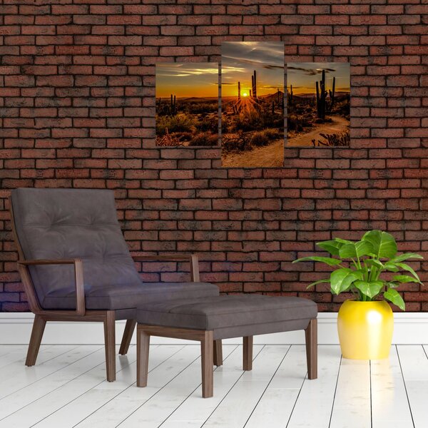 Slika - Kraj dana u pustinji Arizona (90x60 cm)