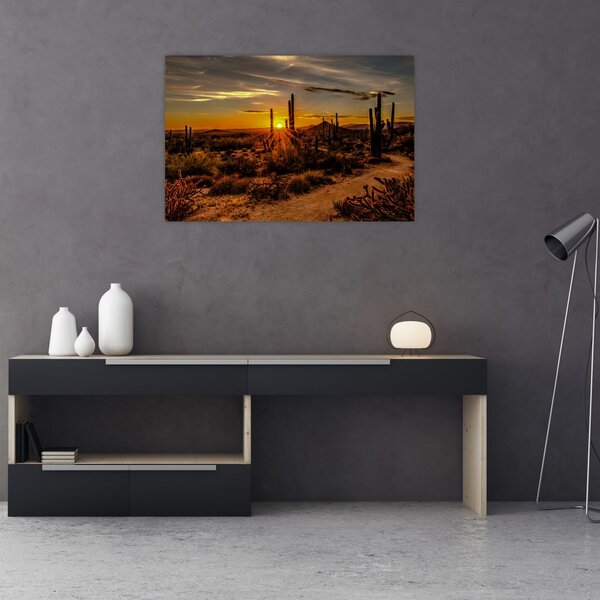 Slika - Kraj dana u pustinji Arizona (90x60 cm)