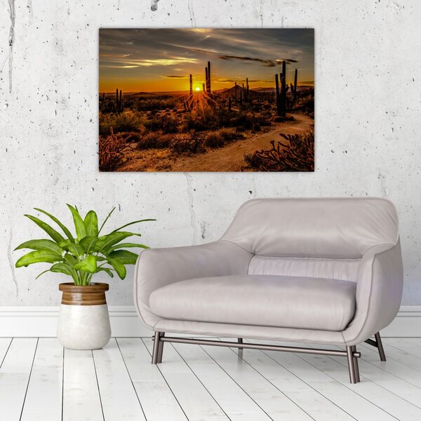 Slika - Kraj dana u pustinji Arizona (90x60 cm)