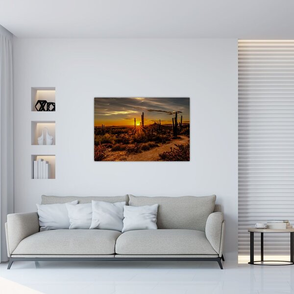 Slika - Kraj dana u pustinji Arizona (90x60 cm)