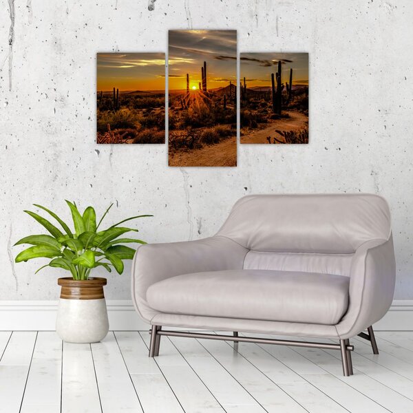 Slika - Kraj dana u pustinji Arizona (90x60 cm)