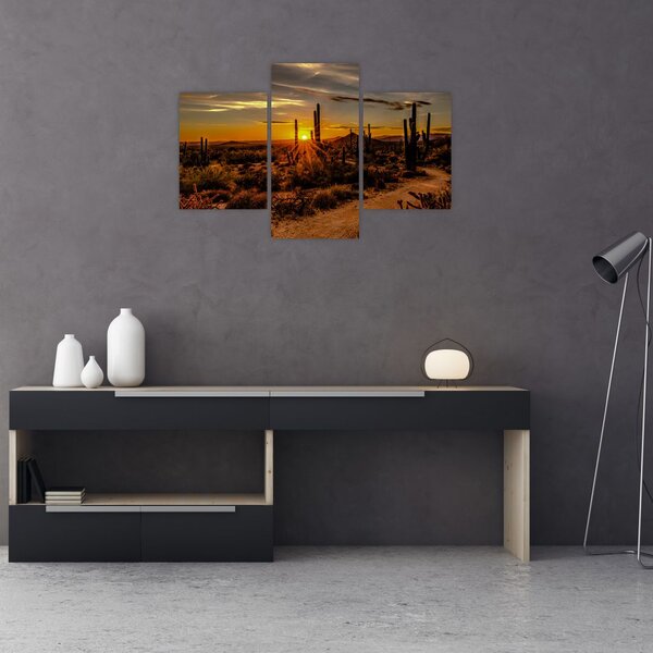 Slika - Kraj dana u pustinji Arizona (90x60 cm)