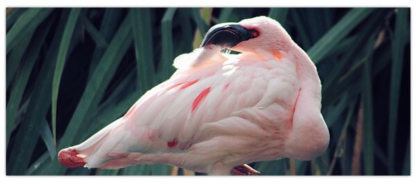 Slika - Flamingo (120x50 cm)