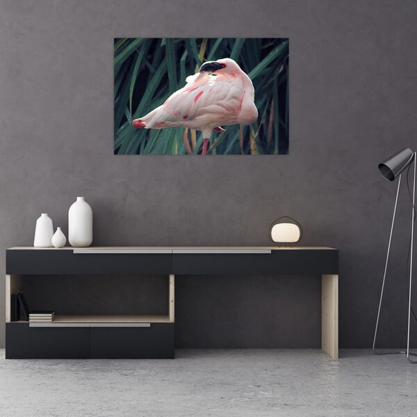 Slika - Flamingo (90x60 cm)