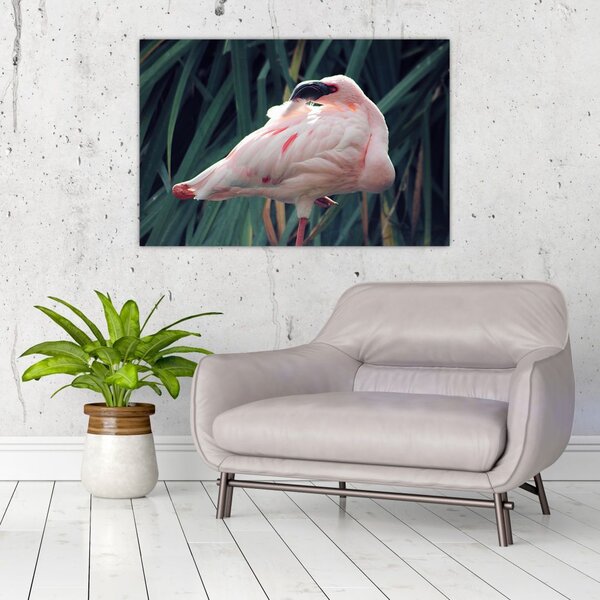 Slika - Flamingo (90x60 cm)
