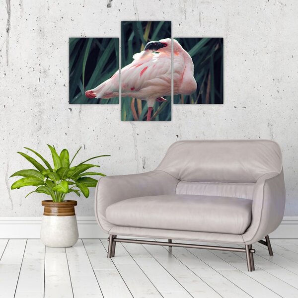 Slika - Flamingo (90x60 cm)