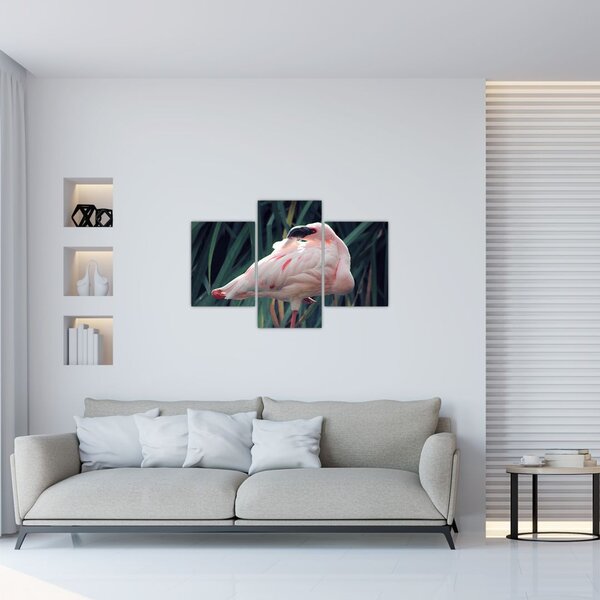 Slika - Flamingo (90x60 cm)