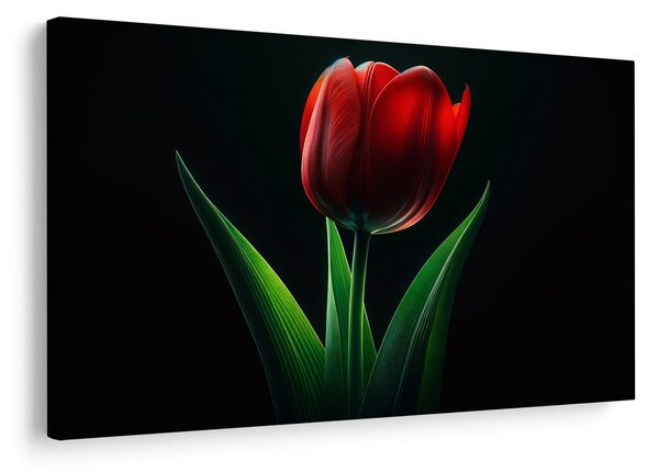 Slika crvena elegancija tulipana