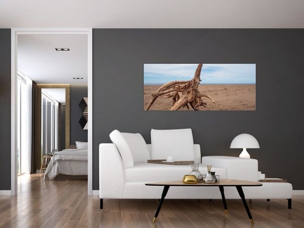 Slika - Naplavine iz mora (120x50 cm)