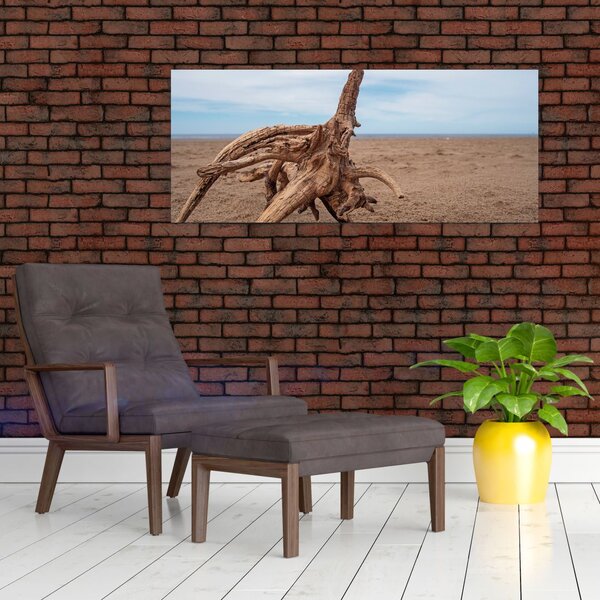 Slika - Naplavine iz mora (120x50 cm)