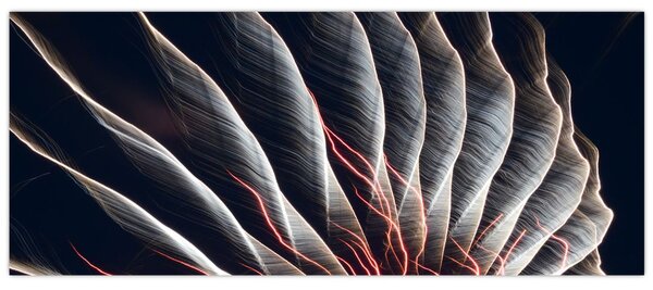 Slika - Svjetlosno pražnjenje (120x50 cm)