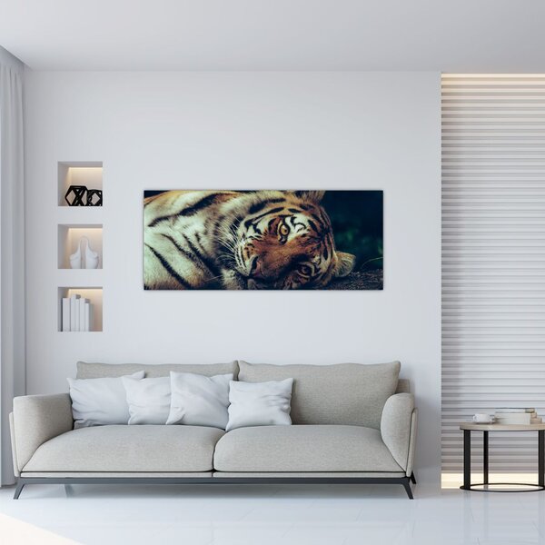 Slika - Sibirski tigar (120x50 cm)