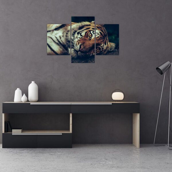 Slika - Sibirski tigar (90x60 cm)