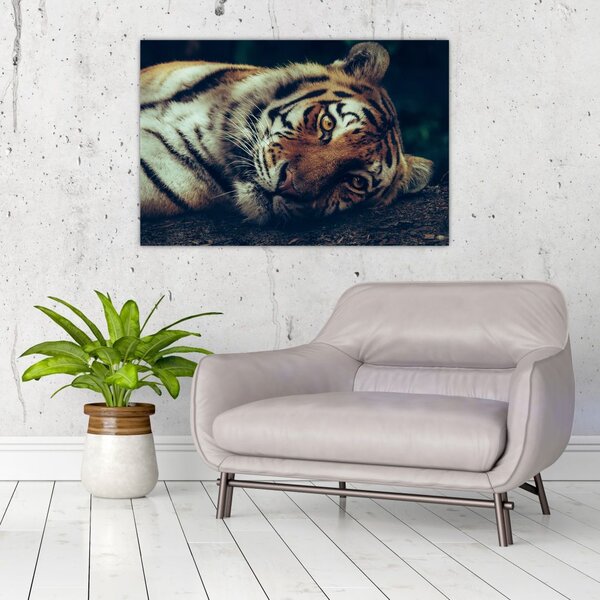 Slika - Sibirski tigar (90x60 cm)