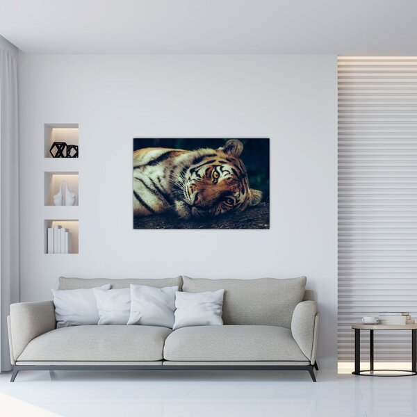 Slika - Sibirski tigar (90x60 cm)