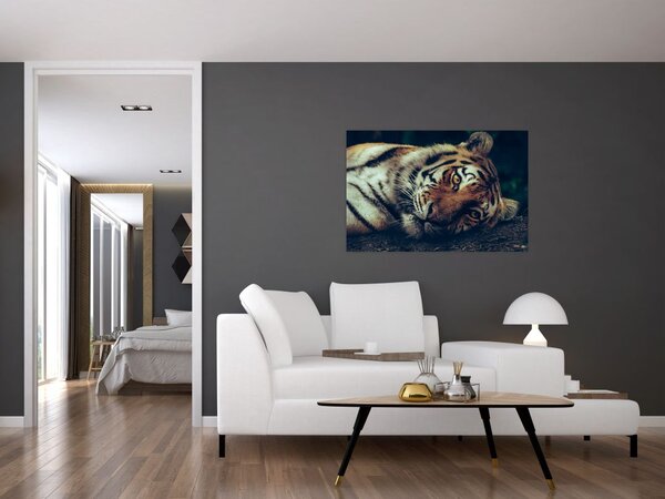 Slika - Sibirski tigar (90x60 cm)