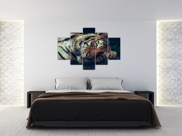 Slika - Sibirski tigar (150x105 cm)