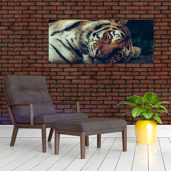 Slika - Sibirski tigar (120x50 cm)
