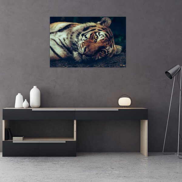 Slika - Sibirski tigar (90x60 cm)